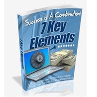 7 Key Elements To Online Success