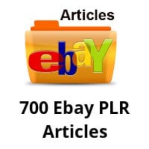 700 Ebay PLR Articles