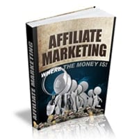Affiliate Marketing Where The Money Is