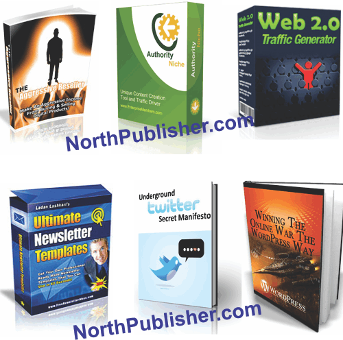 MRR Package 6 - 25 of the best selling ebooks and software