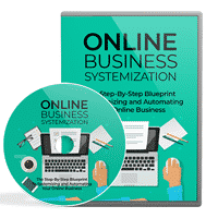 Online Business Systemization Video