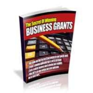 The Secrets Of Winning Business Grants