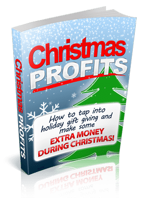 Christmas Profits