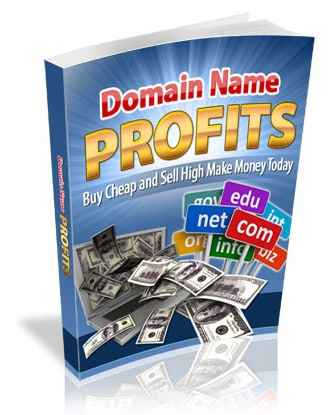 Domain Name Profits