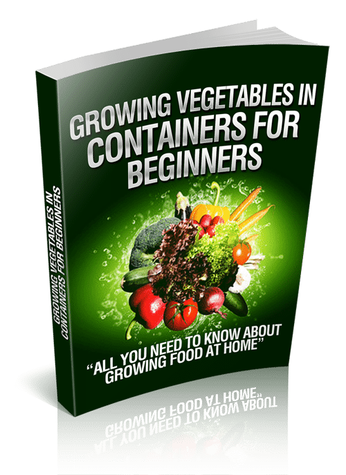 Growing Vegetables In Containers For Beginners