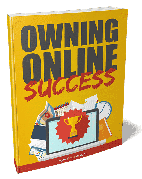 owning online success