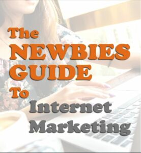 the newbies guide to internet marketing