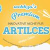 Grant Writing Tips PLR Articles