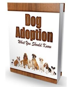 Dog Adoption What You Should Know