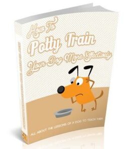How To Potty Train Your Dog More Effectively