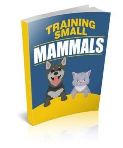 Training Small Mammals